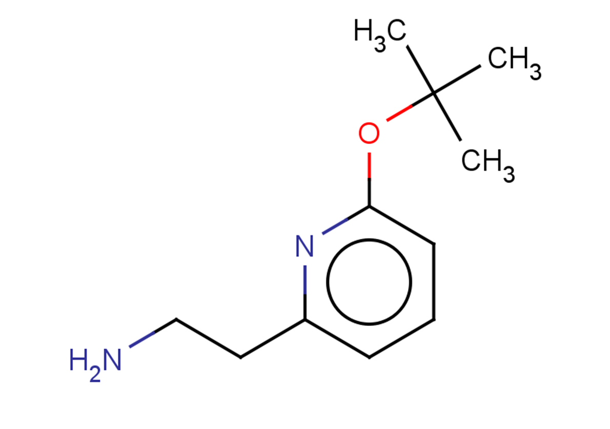 2-[6-(tert-butoxy)pyridin-2-yl]ethan-1-amine