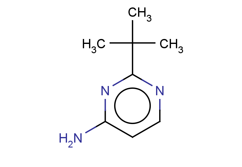 2-tert-butylpyrimidin-4-amine
