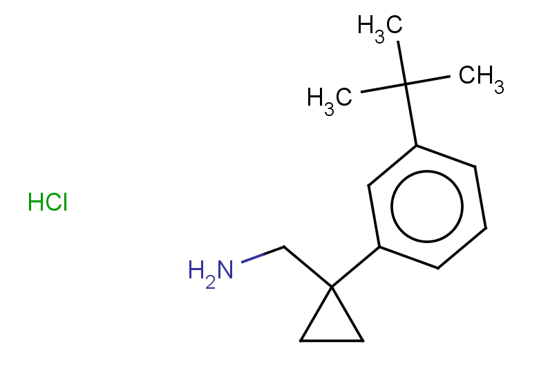 1-[1-(3-tert-butylphenyl)cyclopropyl]methanamine hydrochloride
