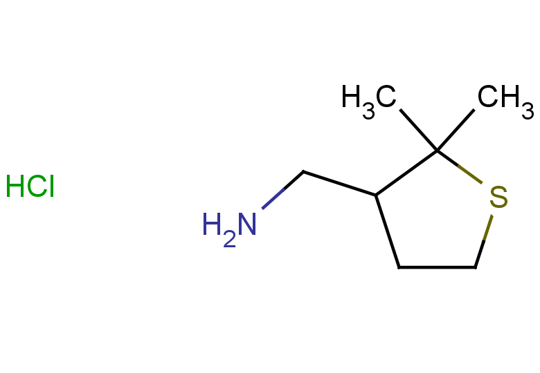 (2,2-dimethylthiolan-3-yl)methanamine hydrochloride