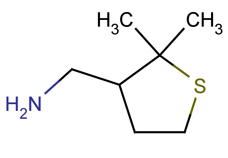 (2,2-dimethylthiolan-3-yl)methanamine