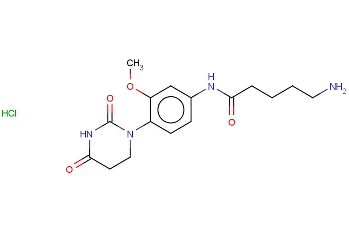 5-amino-N-[4-(2,4-dioxo-1,3-diazinan-1-yl)-3-methoxyphenyl]pentanamide hydrochloride