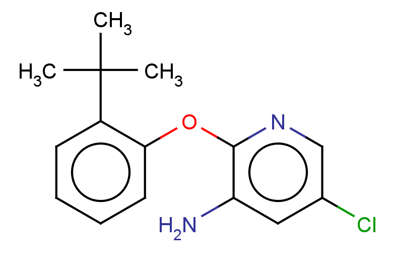 2-(2-TERT-BUTYLPHENOXY)-5-CHLOROPYRIDIN-3-AMINE