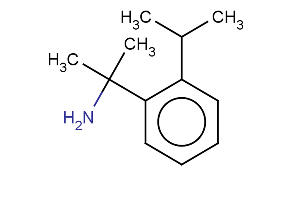 2-[2-(propan-2-yl)phenyl]propan-2-amine