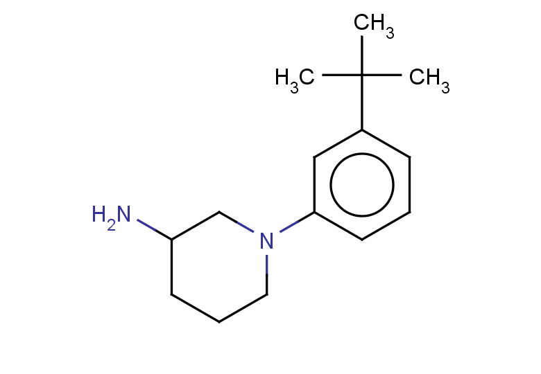 1-(3-tert-butylphenyl)piperidin-3-amine