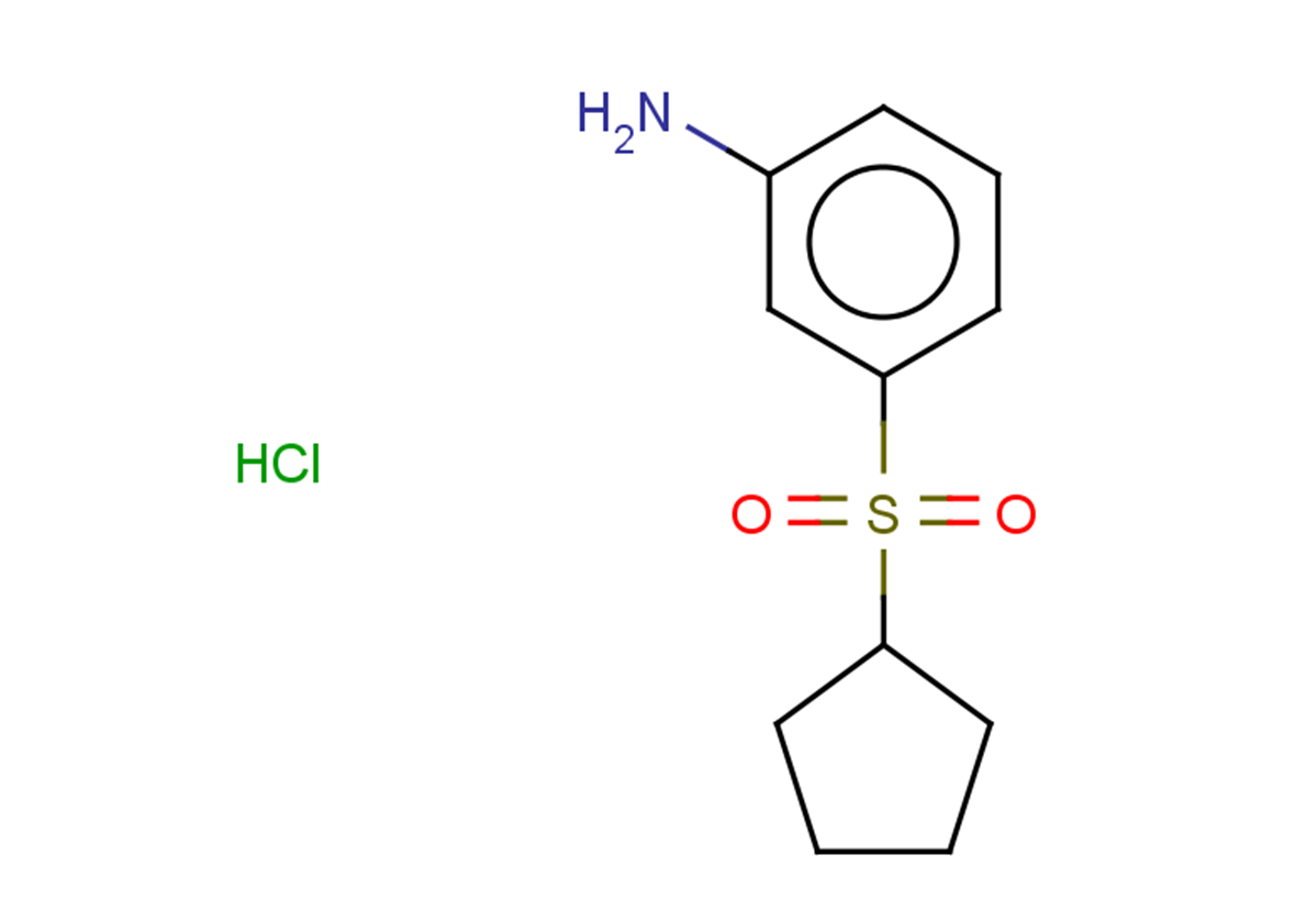 3-(cyclopentanesulfonyl)aniline hydrochloride