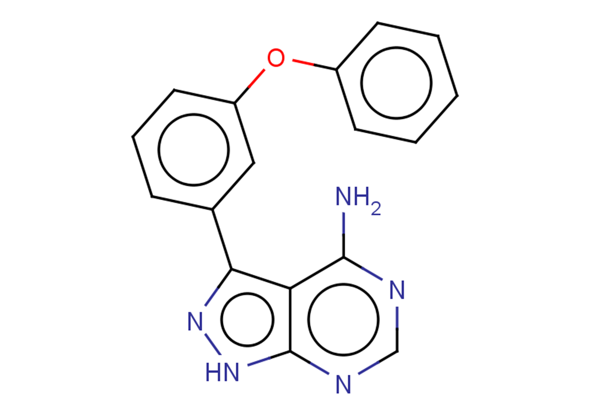 3-(3-phenoxyphenyl)-1H-pyrazolo[3,4-d]pyrimidin-4-amine