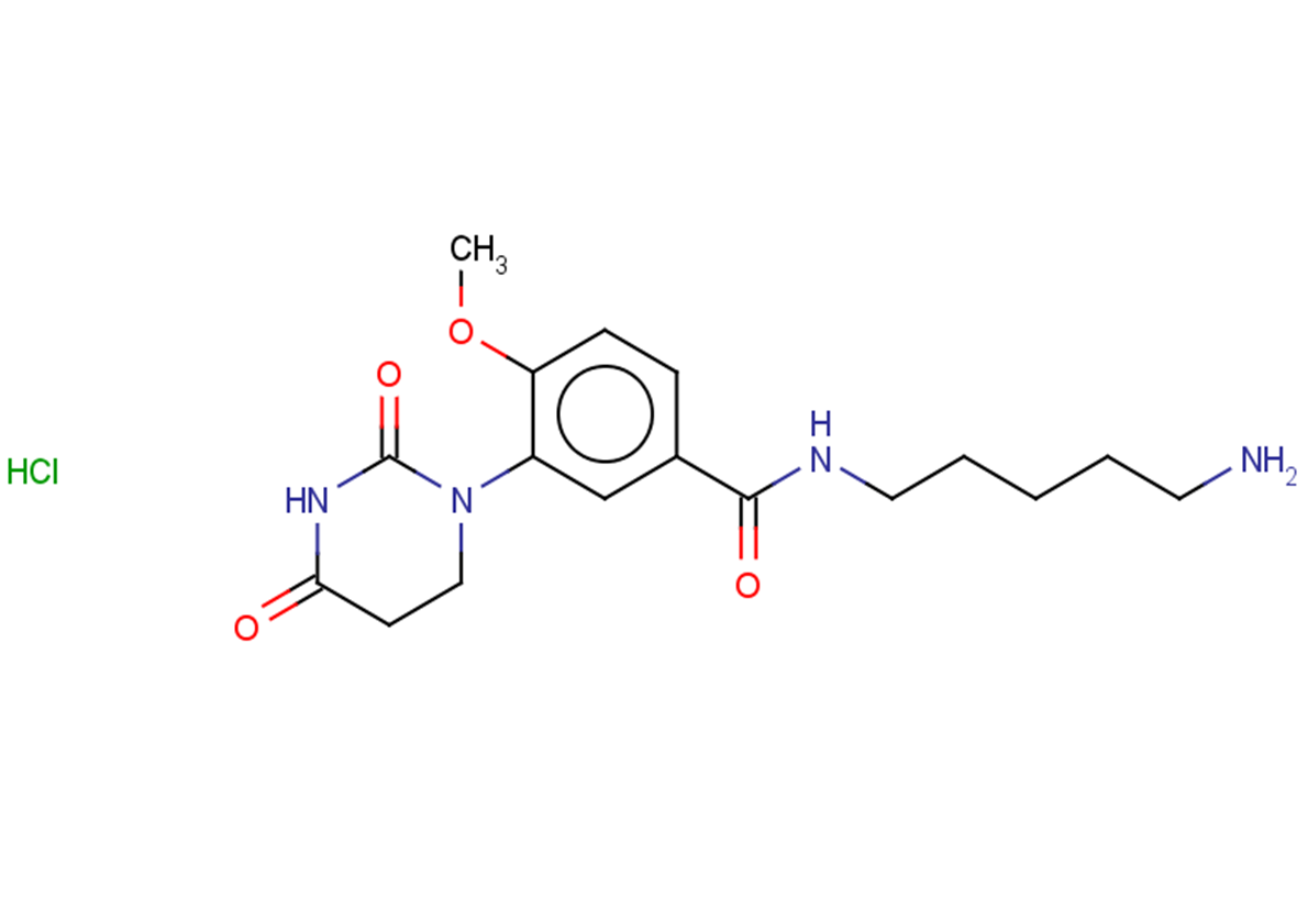 N-(5-aminopentyl)-3-(2,4-dioxo-1,3-diazinan-1-yl)-4-methoxybenzamide hydrochloride