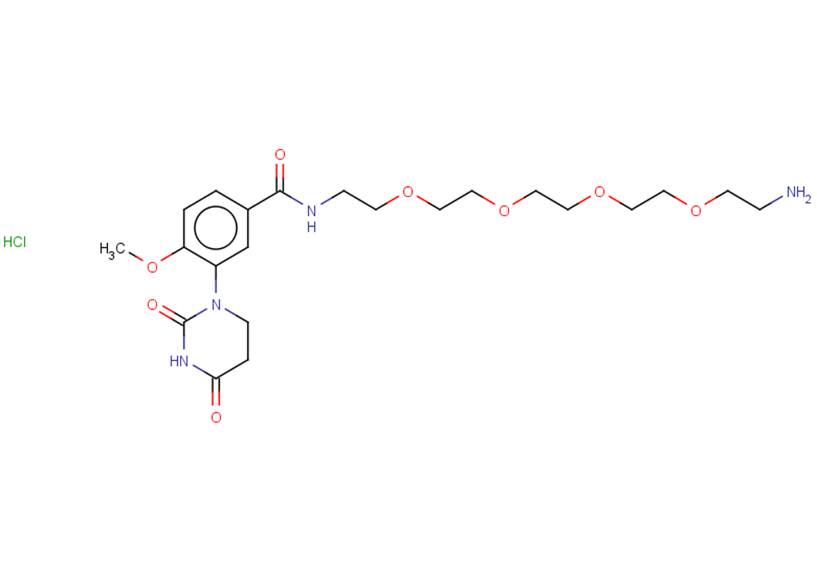 N-(14-amino-3,6,9,12-tetraoxatetradecan-1-yl)-3-(2,4-dioxo-1,3-diazinan-1-yl)-4-methoxybenzamide hydrochloride
