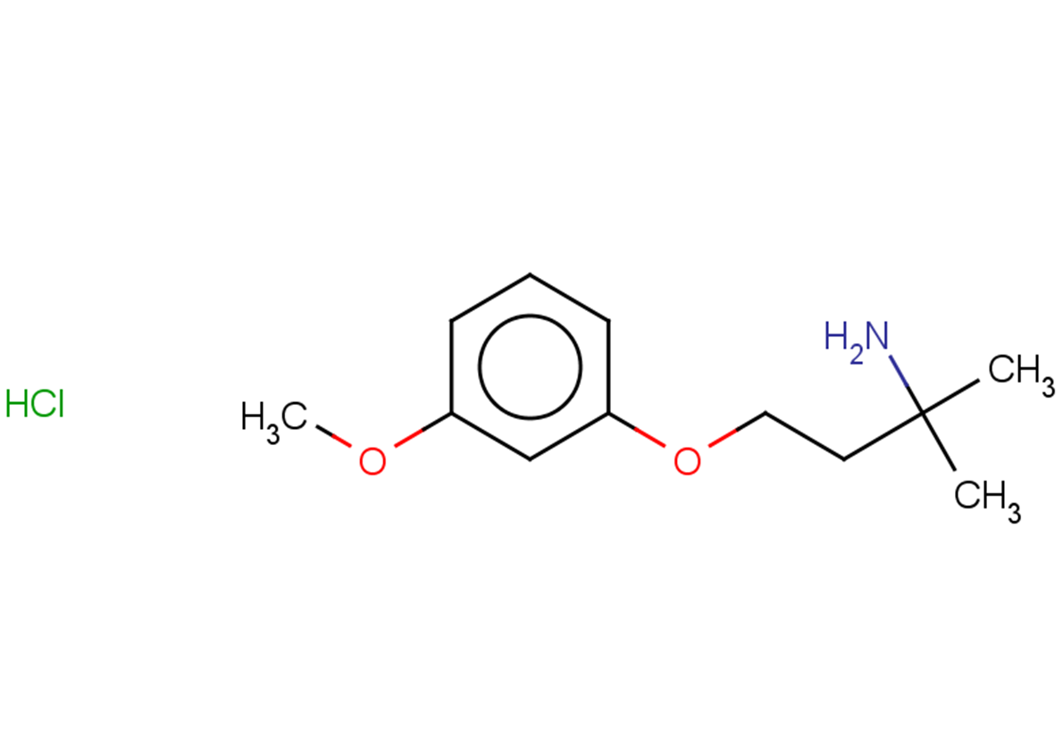 4-(3-methoxyphenoxy)-2-methylbutan-2-amine hydrochloride