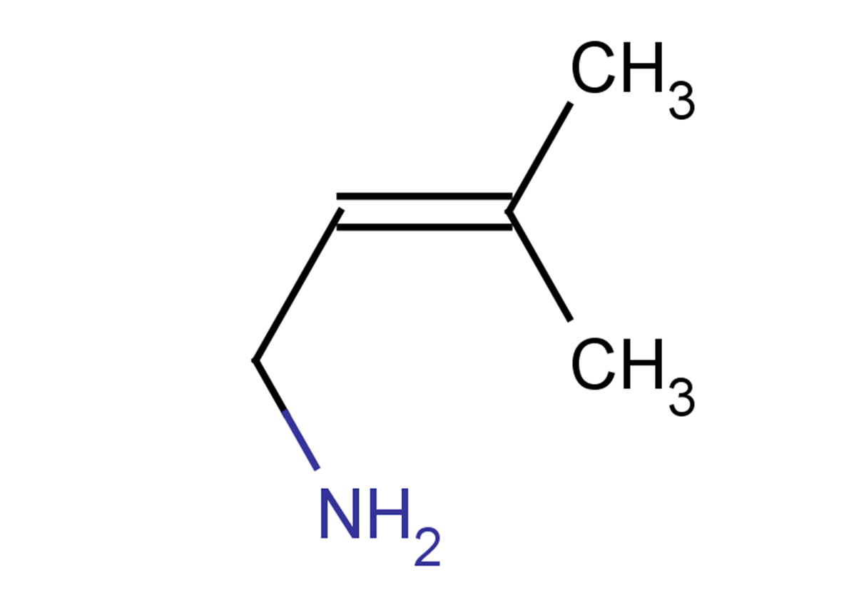 3-methylbut-2-en-1-amine