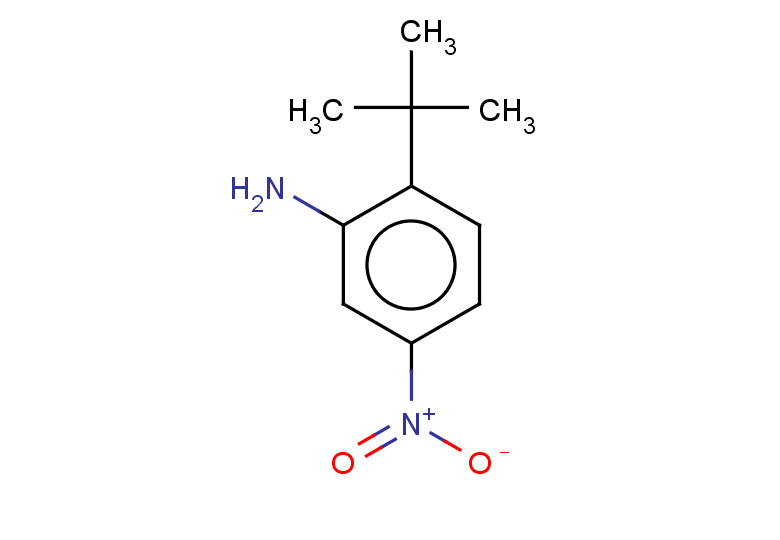 2-tert-butyl-5-nitroaniline