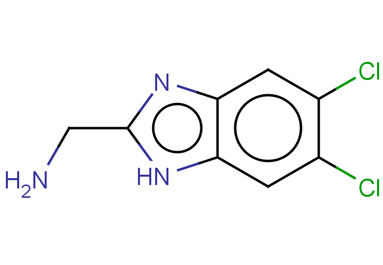 1-(5,6-dichloro-1H-1,3-benzodiazol-2-yl)methanamine