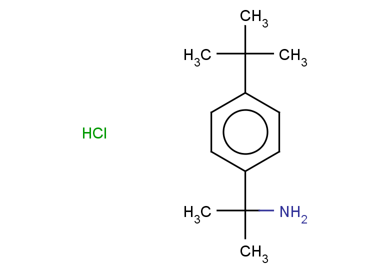2-(4-tert-butylphenyl)propan-2-amine hydrochloride