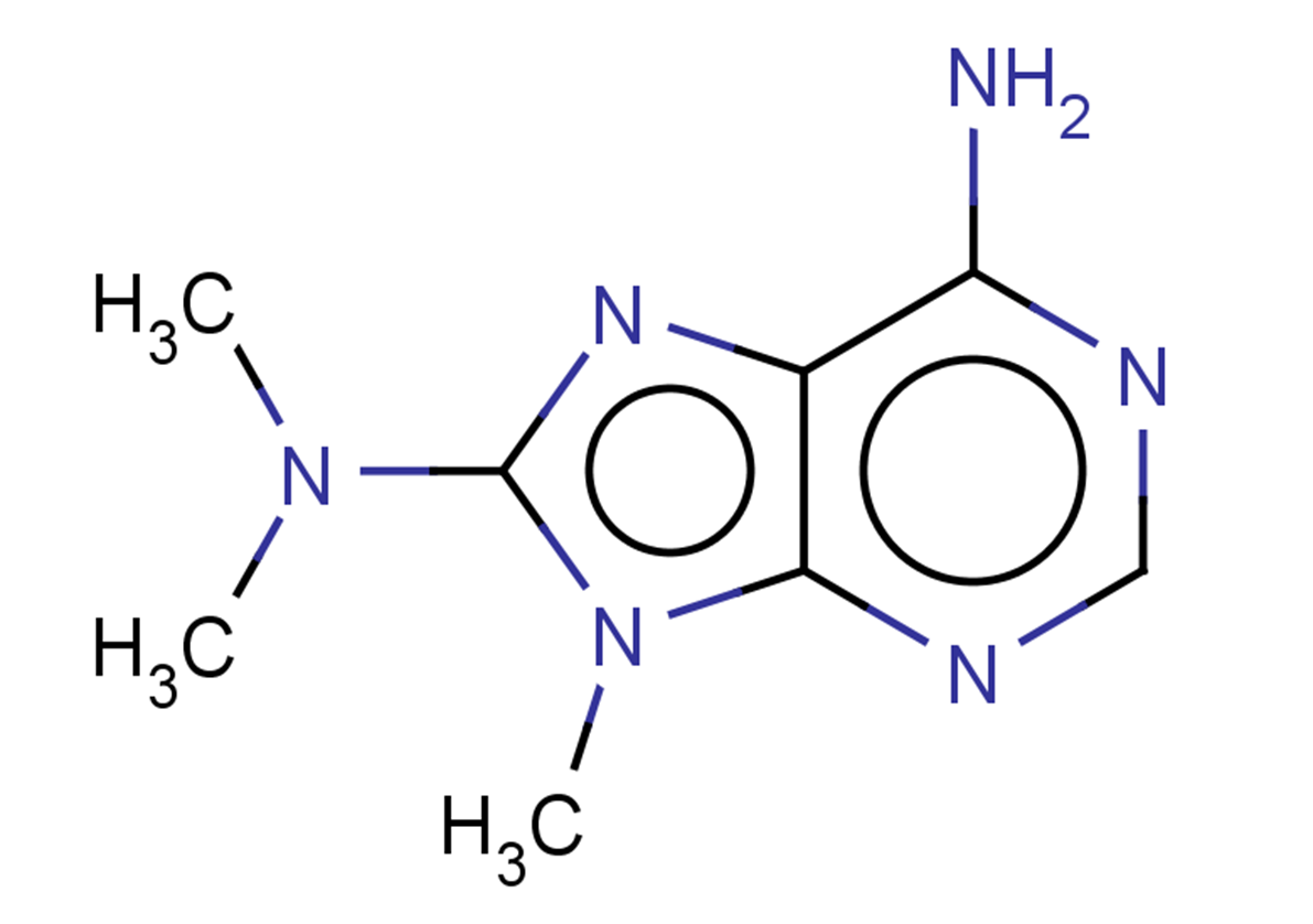 N8,N8,9-trimethyl-9H-purine-6,8-diamine