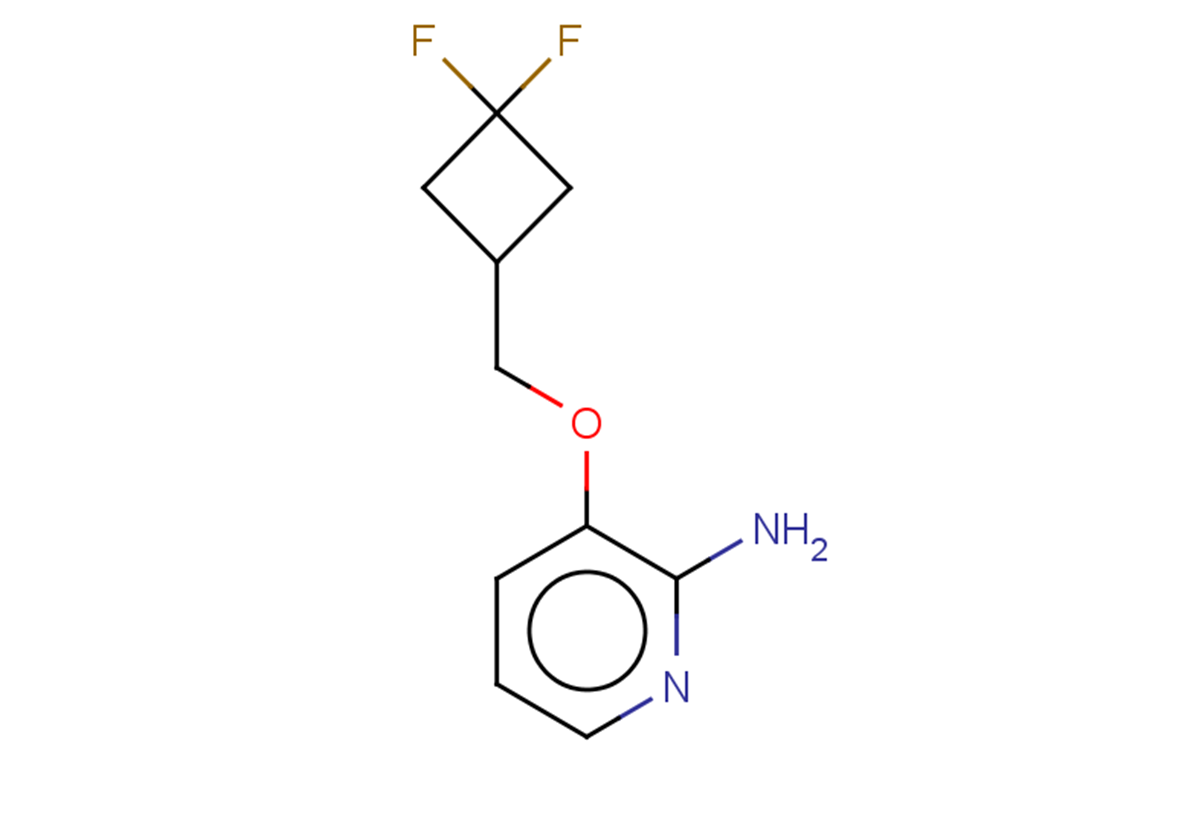 3-[(3,3-difluorocyclobutyl)methoxy]pyridin-2-amine