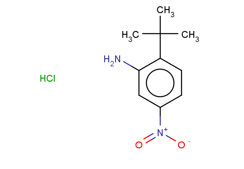 2-tert-butyl-5-nitroaniline hydrochloride