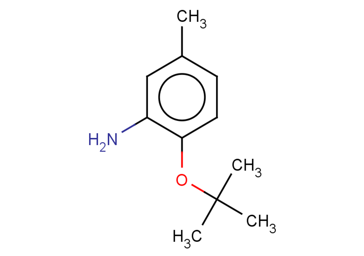 2-(tert-butoxy)-5-methylaniline