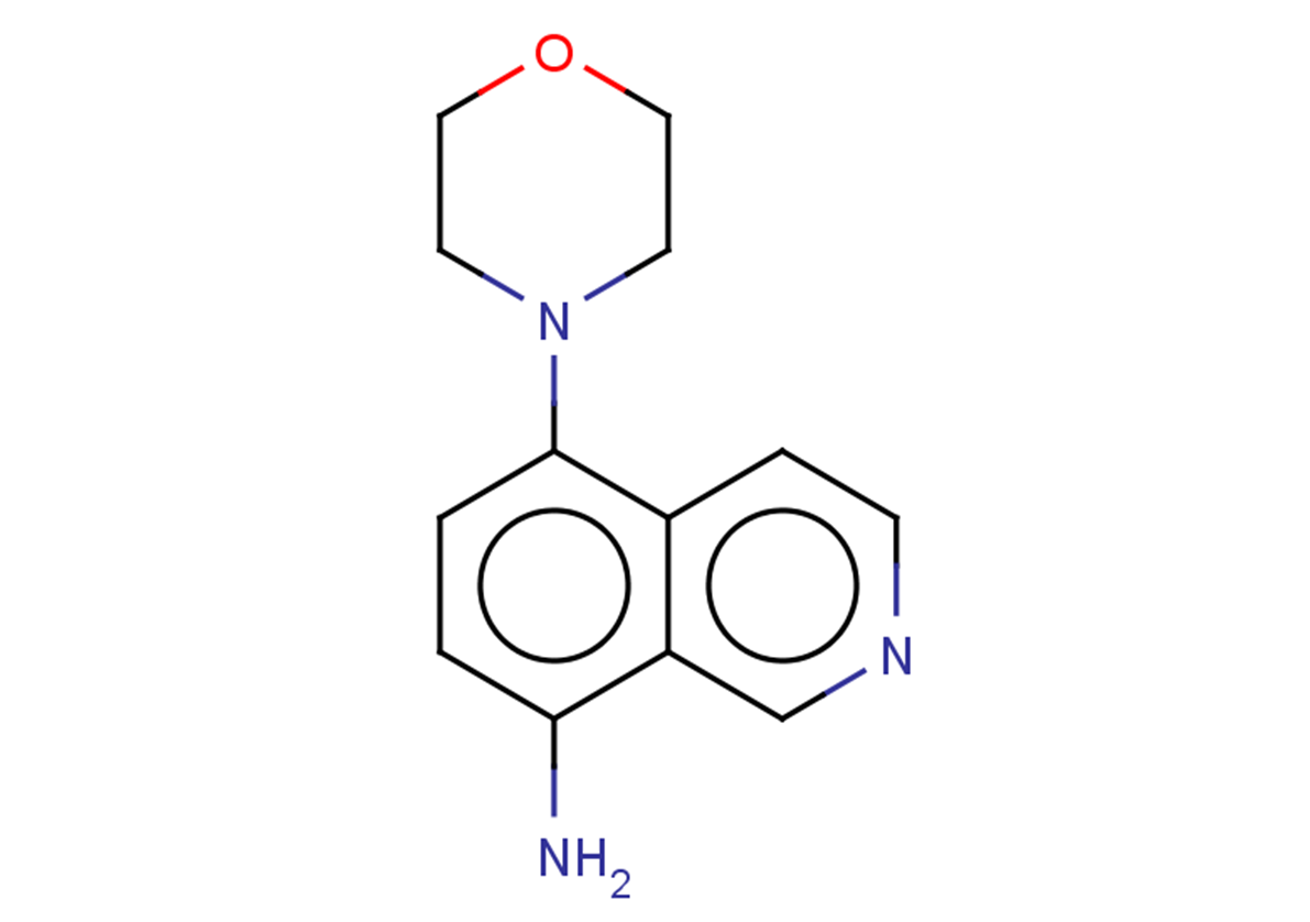 5-(morpholin-4-yl)isoquinolin-8-amine