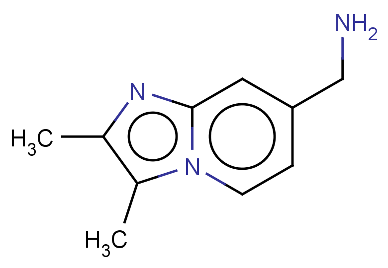 {2,3-dimethylimidazo[1,2-a]pyridin-7-yl}methanamine