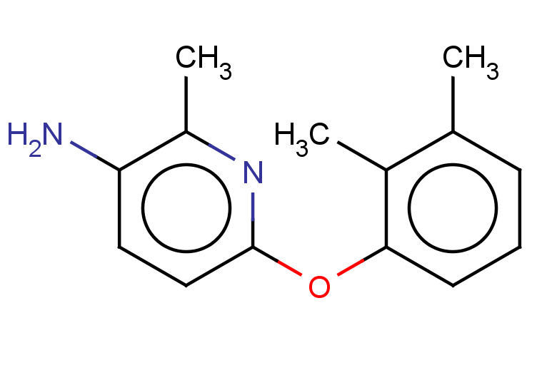 6-(2,3-dimethylphenoxy)-2-methylpyridin-3-amine