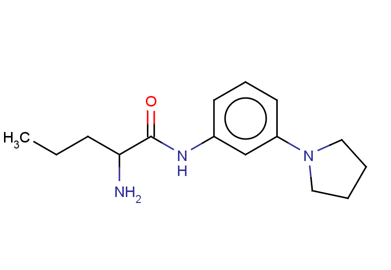 2-amino-N-[3-(pyrrolidin-1-yl)phenyl]pentanamide