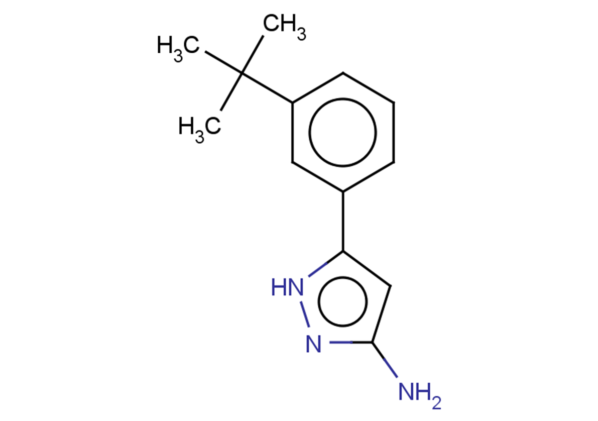 5-(3-tert-butylphenyl)-1H-pyrazol-3-amine