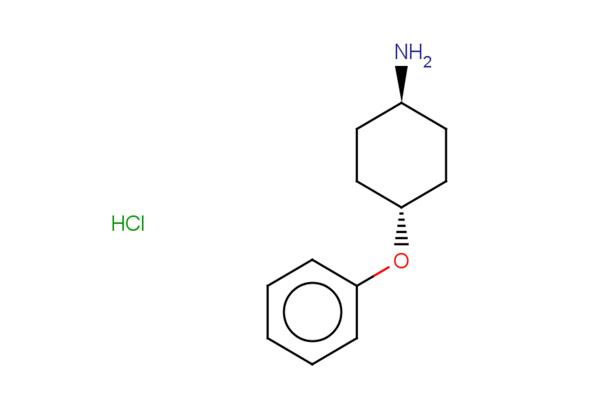 rac-(1r,4r)-4-phenoxycyclohexan-1-amine hydrochloride, trans