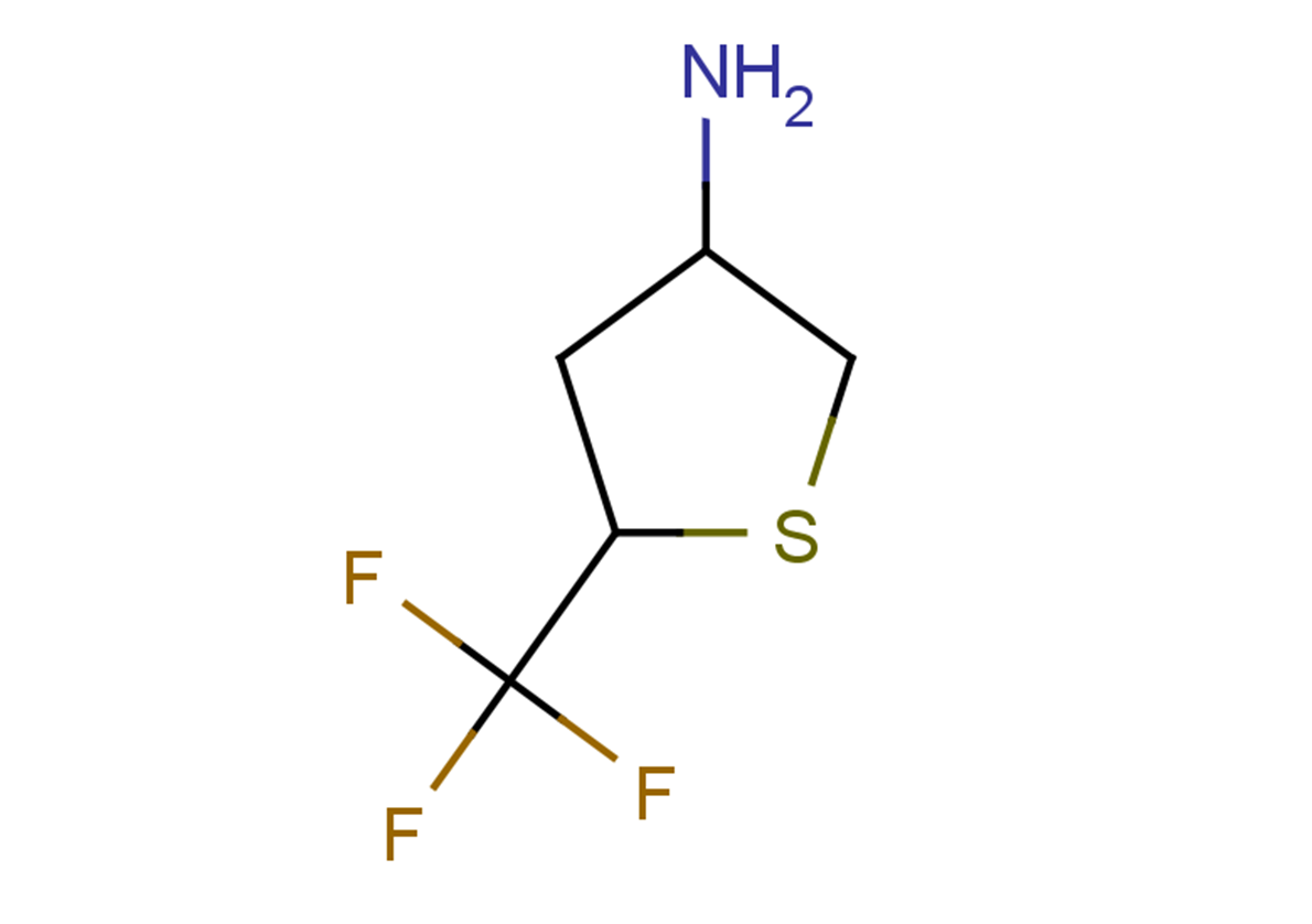 5-(trifluoromethyl)thiolan-3-amine
