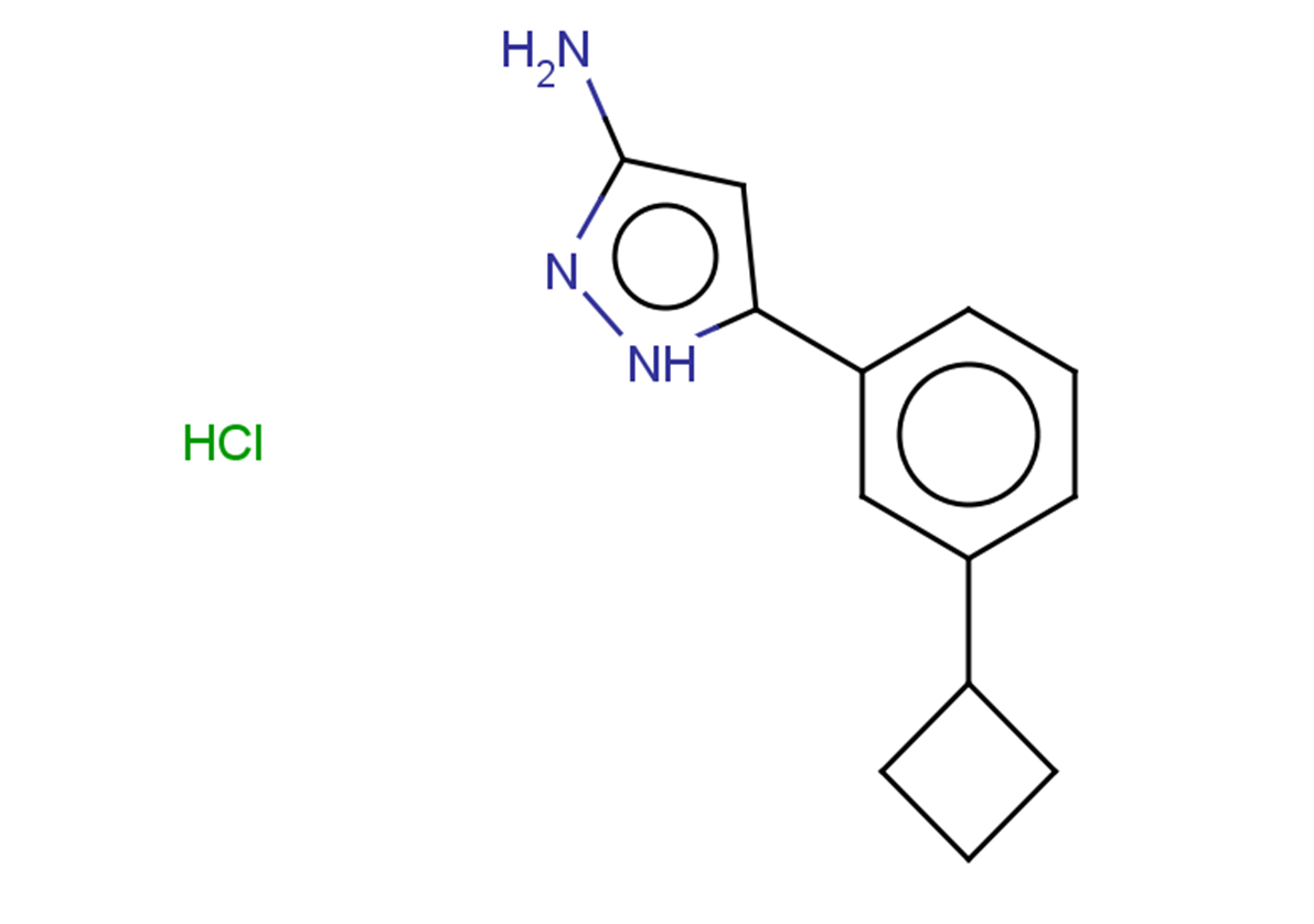 5-(3-cyclobutylphenyl)-1H-pyrazol-3-amine hydrochloride
