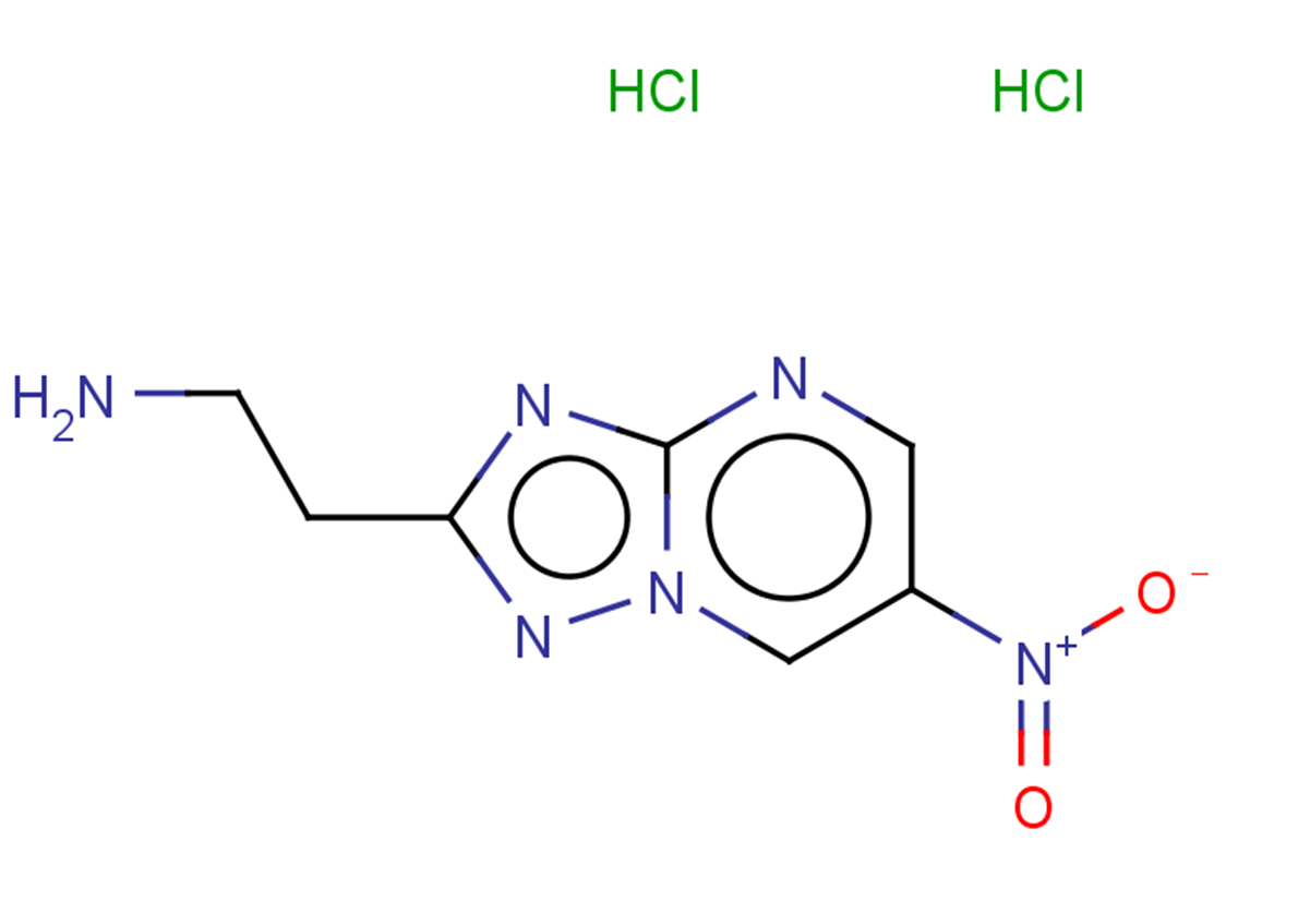 2-{6-nitro-[1,2,4]triazolo[1,5-a]pyrimidin-2-yl}ethan-1-amine dihydrochloride