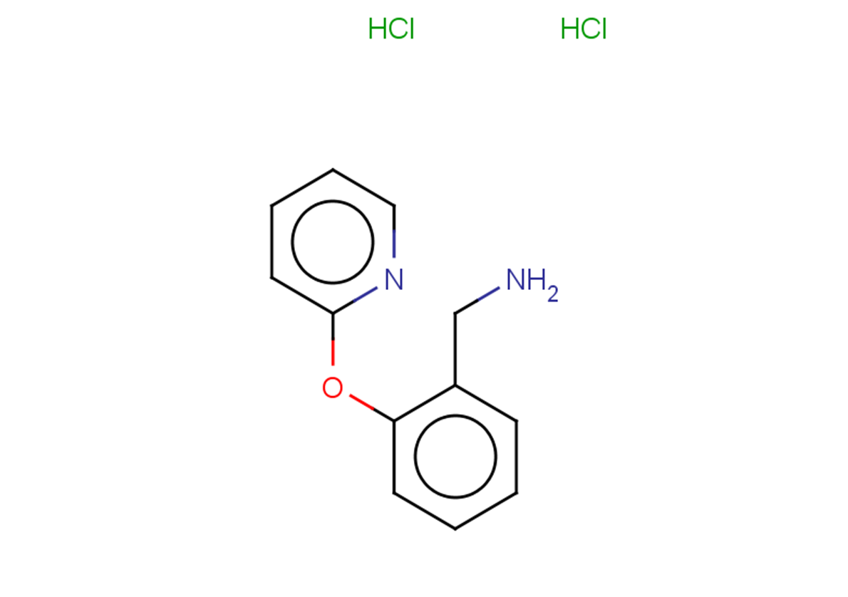 1-[2-(pyridin-2-yloxy)phenyl]methanamine dihydrochloride