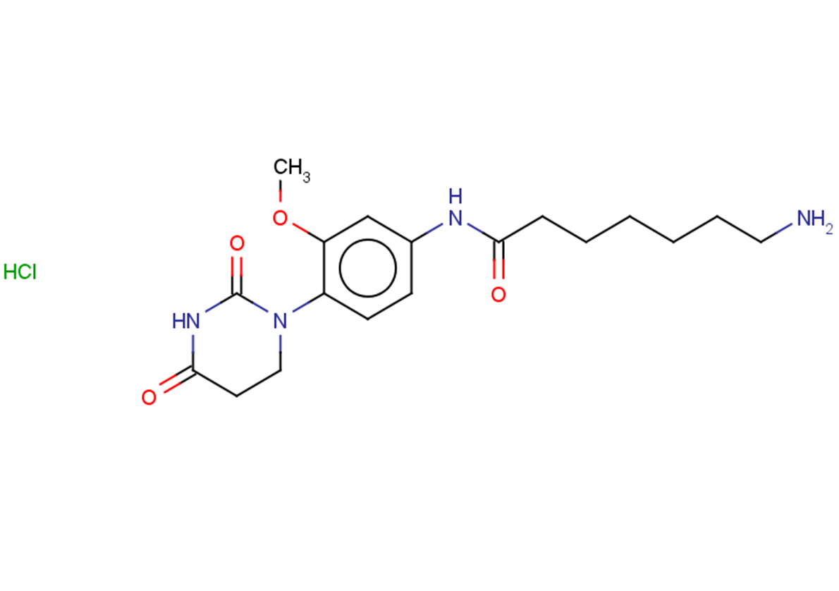 7-amino-N-[4-(2,4-dioxo-1,3-diazinan-1-yl)-3-methoxyphenyl]heptanamide hydrochloride