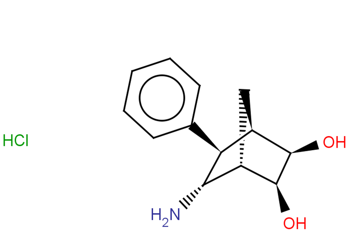 rac-(1R,2R,3S,4S,5R,6R)-5-amino-6-phenylbicyclo[2.2.1]heptane-2,3-diol hydrochloride