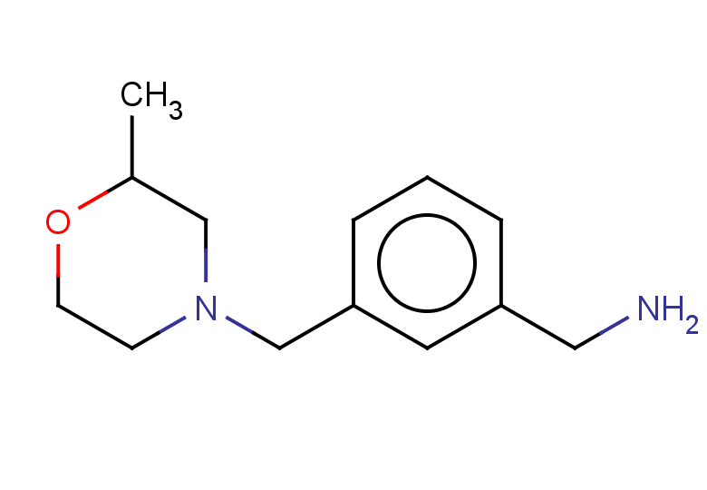 {3-[(2-methylmorpholin-4-yl)methyl]phenyl}methanamine