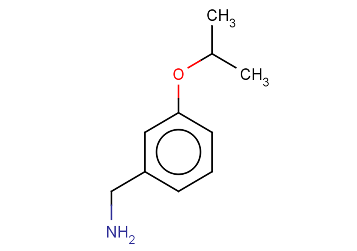 [3-(propan-2-yloxy)phenyl]methanamine