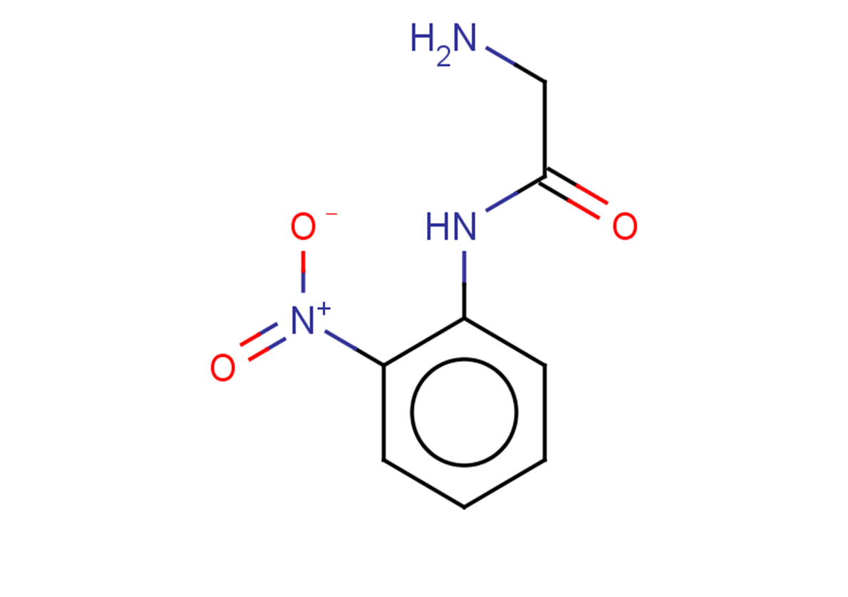 2-amino-N-(2-nitrophenyl)acetamide