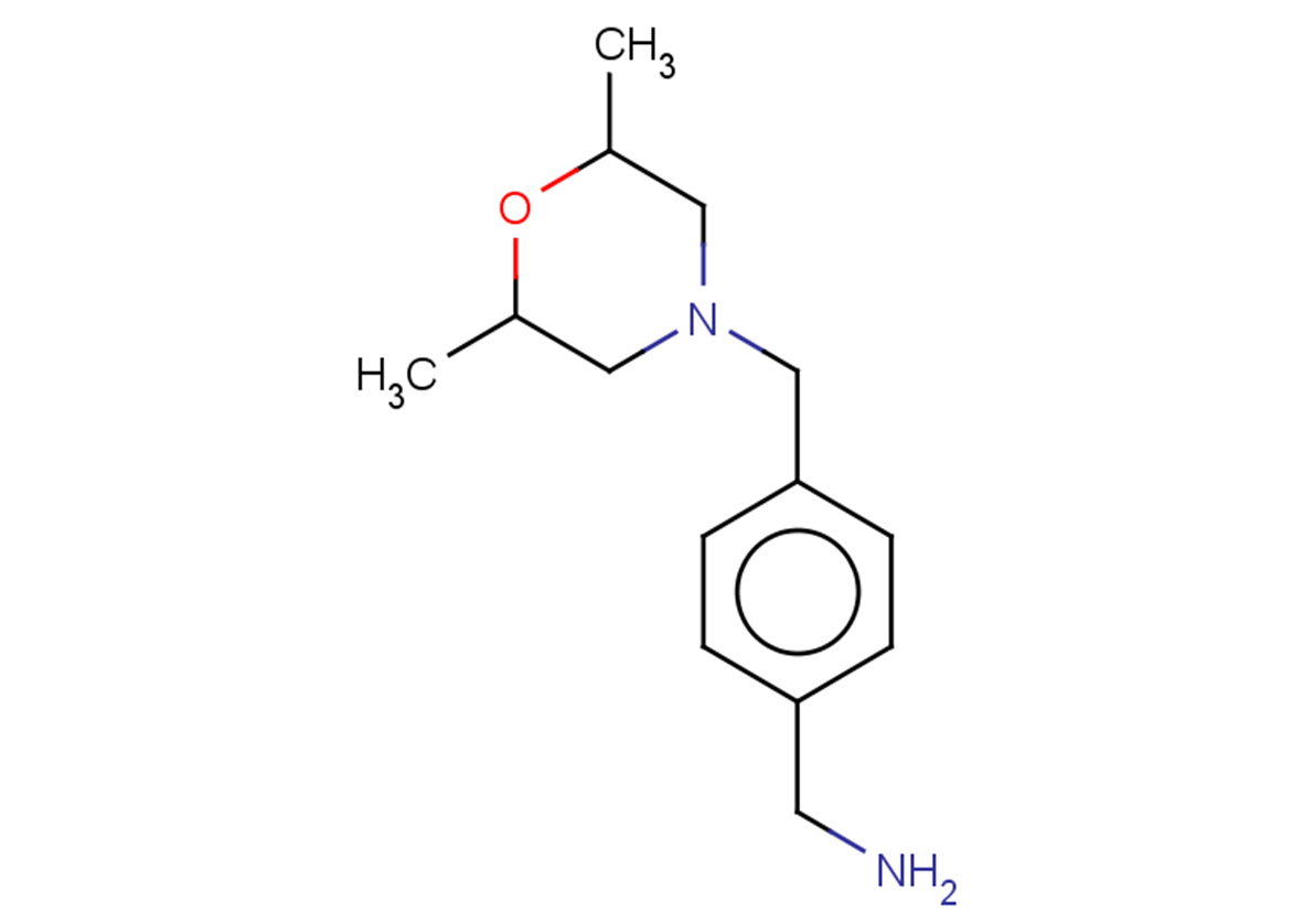{4-[(2,6-dimethylmorpholin-4-yl)methyl]phenyl}methanamine
