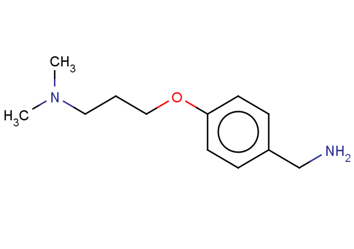 {4-[3-(dimethylamino)propoxy]phenyl}methanamine