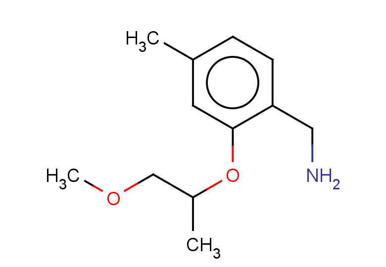 {2-[(1-methoxypropan-2-yl)oxy]-4-methylphenyl}methanamine