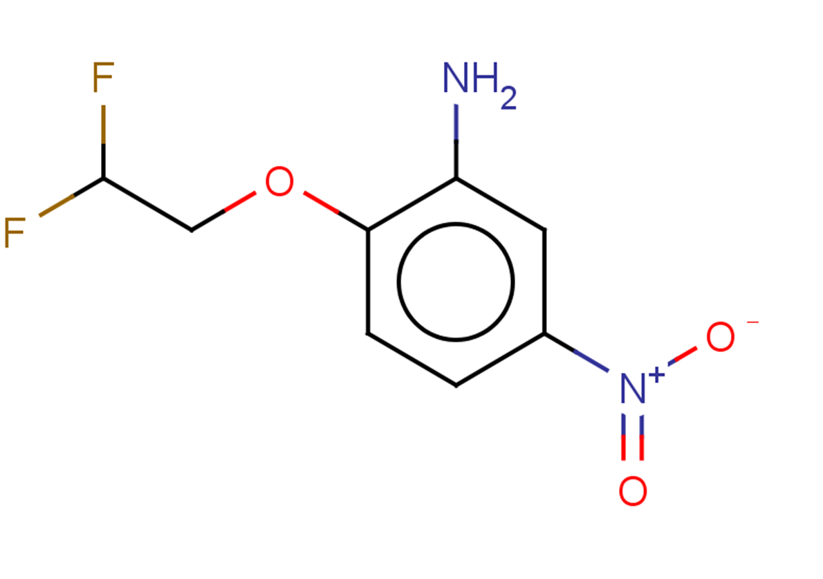 2-(2,2-difluoroethoxy)-5-nitroaniline