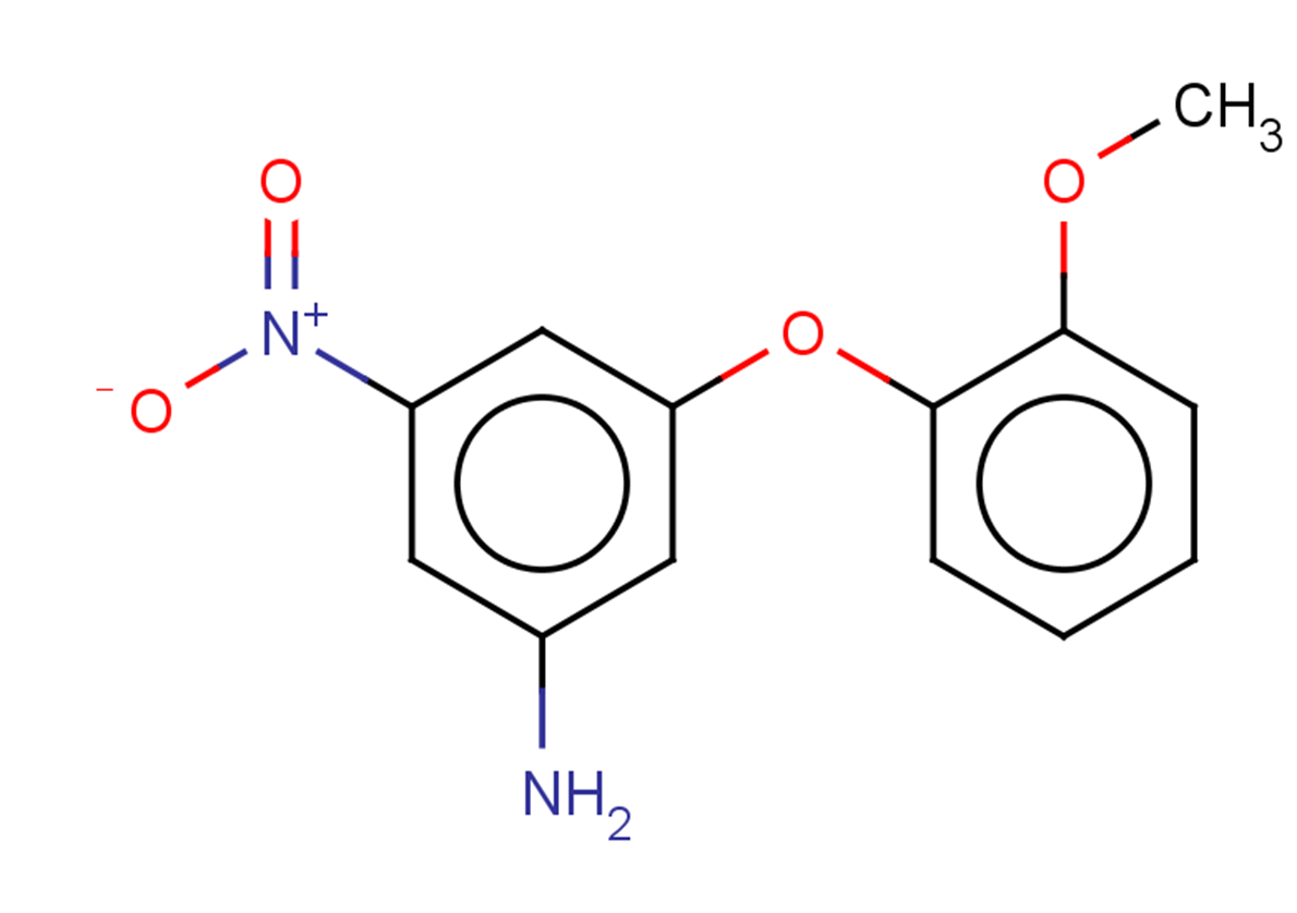3-(2-methoxyphenoxy)-5-nitroaniline