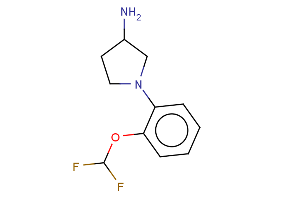 1-[2-(difluoromethoxy)phenyl]pyrrolidin-3-amine