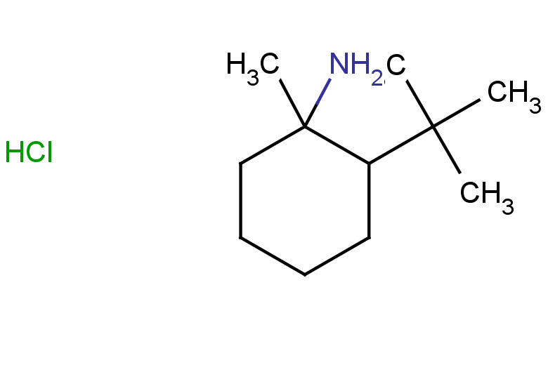 2-tert-butyl-1-methylcyclohexan-1-amine hydrochloride