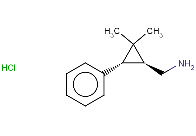rac-[(1R,3R)-2,2-dimethyl-3-phenylcyclopropyl]methanamine hydrochloride, trans