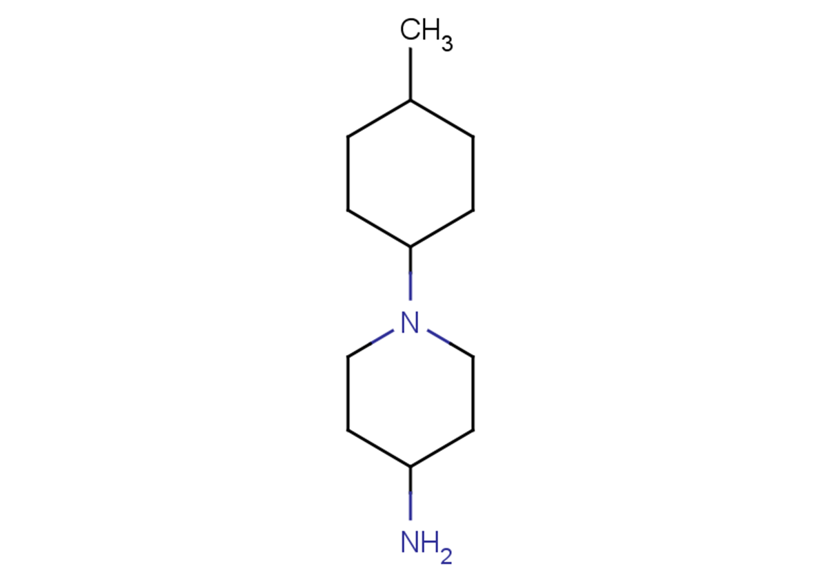 1-(4-methylcyclohexyl)piperidin-4-amine