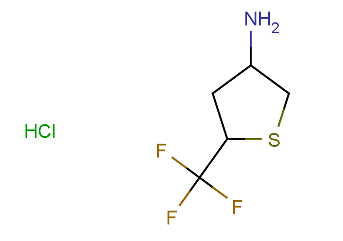 5-(trifluoromethyl)thiolan-3-amine hydrochloride, Mixture of diastereomers