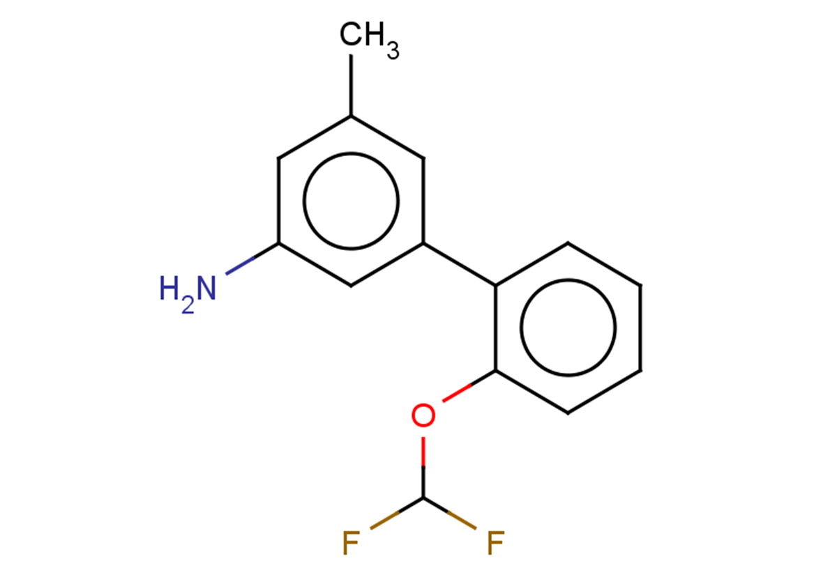2'-(difluoromethoxy)-5-methyl-[1,1'-biphenyl]-3-amine