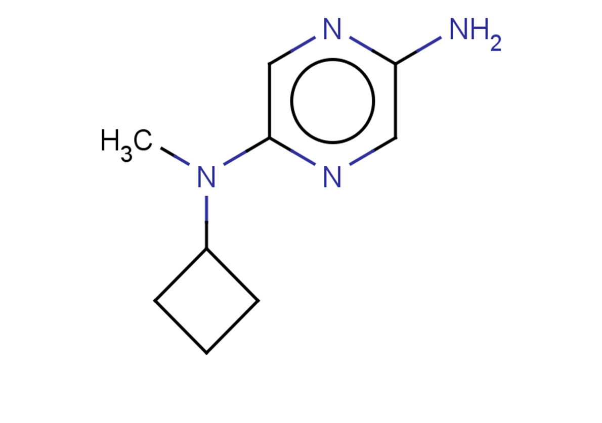 N2-cyclobutyl-N2-methylpyrazine-2,5-diamine
