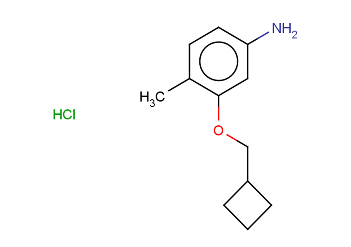 3-(cyclobutylmethoxy)-4-methylaniline hydrochloride